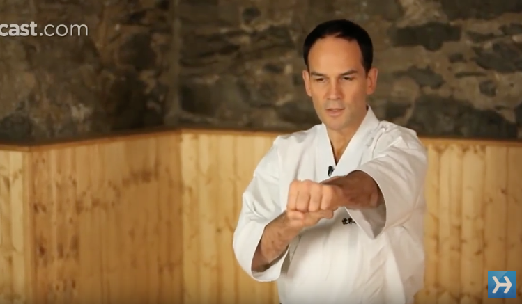 How to Do a Lunge Punch | Karate