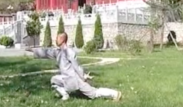 Shaolin Muscle & Tendon Qi Gong Routine | Qi Gong